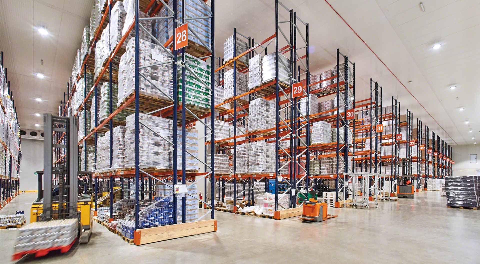 Palletized cold storage - Best Will Innovations